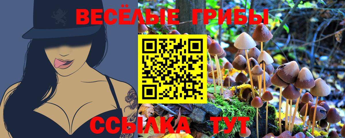 Галлюциногенные грибы мицелий  Вход с VPN  Лениногорск  Галлюциногенные грибы MAGIC MUSHROOMS 
